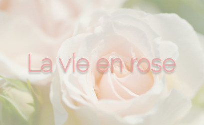 25 Union дарує осінню квітку «La vie en rose» - колекція сповнена тепла та ніжності